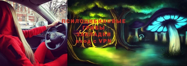 амф Беломорск