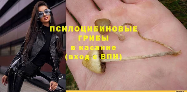 apvp Белоозёрский