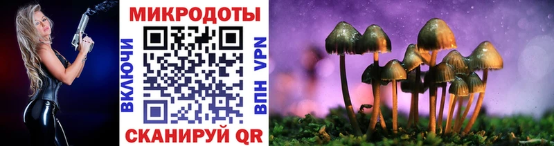 где купить   Энем  даркнет какой сайт  Галлюциногенные грибы Magic Shrooms 